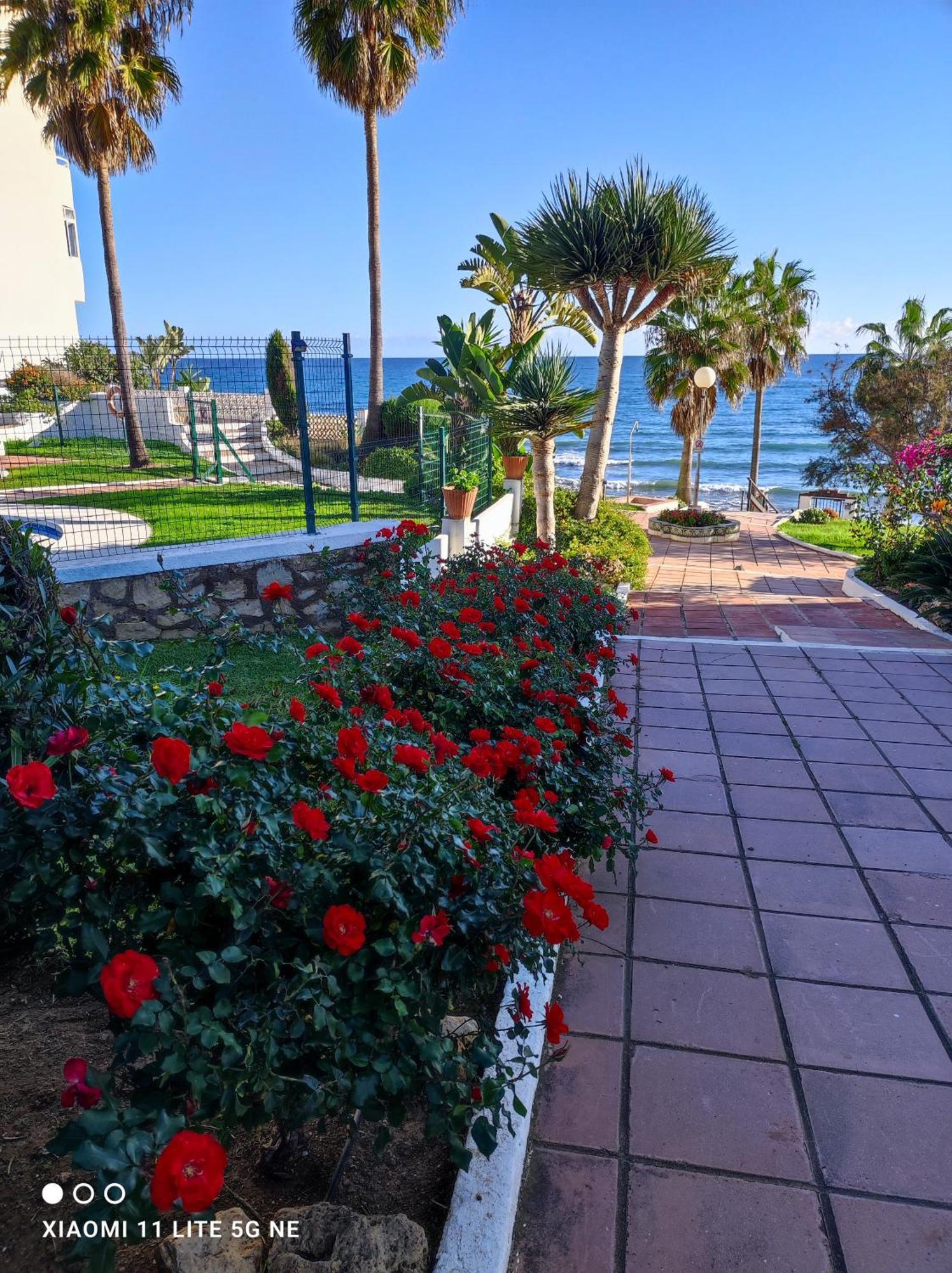 Algaidabeach-Paseolitoral Sitio de Calahonda المظهر الخارجي الصورة